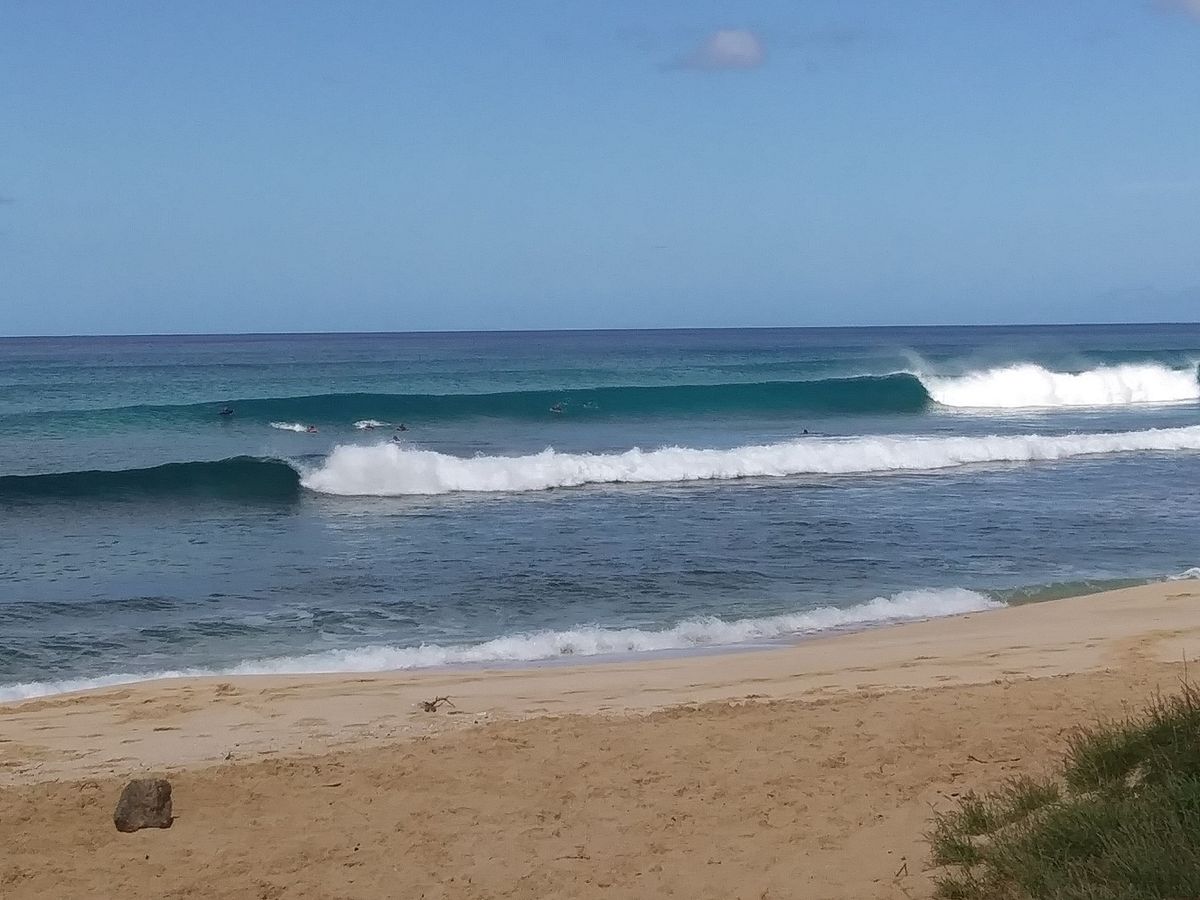Gentle waves rolling over the beginner break at Waikiki